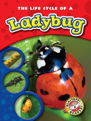 cover image of The Life Cycle of a Ladybug